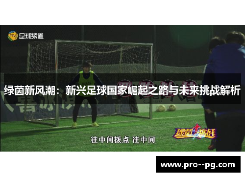 绿茵新风潮：新兴足球国家崛起之路与未来挑战解析