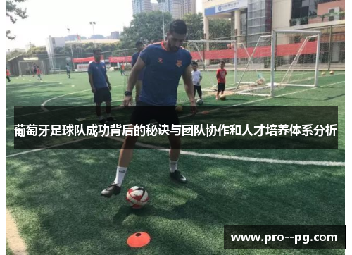 葡萄牙足球队成功背后的秘诀与团队协作和人才培养体系分析