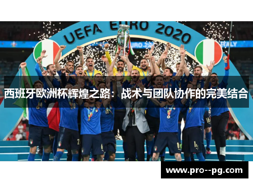 西班牙欧洲杯辉煌之路:战术与团队协作的完美结合 西班牙欧洲杯辉煌之路:战术与团队协作的完美结合