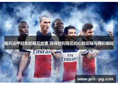 揭开法甲冠军的背后故事 探寻胜利背后的心路历程与精彩瞬间