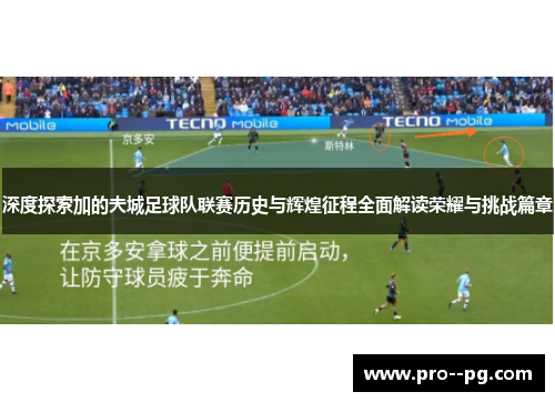 深度探索加的夫城足球队联赛历史与辉煌征程全面解读荣耀与挑战篇章