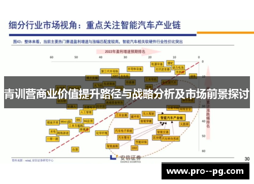 青训营商业价值提升路径与战略分析及市场前景探讨 青训营商业价值提升路径与战略分析及市场前景探讨