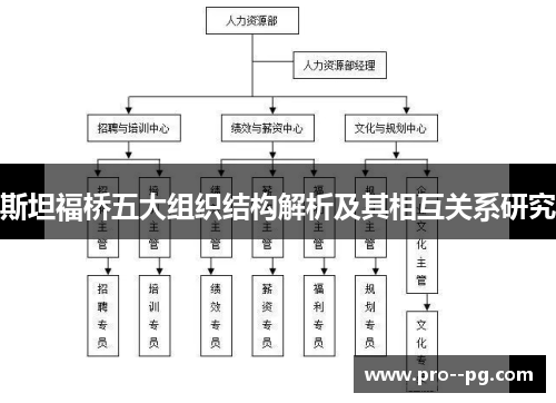 斯坦福桥五大组织结构解析及其相互关系研究 斯坦福桥五大组织结构解析及其相互关系研究