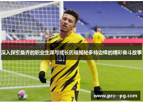 深入探索桑乔的职业生涯与成长历程揭秘多特边锋的精彩奋斗故事