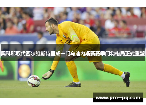 奥科耶取代西尔维斯特里成一门乌迪内斯新赛季门将格局正式重塑 奥科耶取代西尔维斯特里成一门乌迪内斯新赛季门将格局正式重塑
