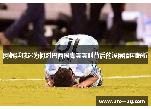 阿根廷球迷为何对巴西国脚嘶嘶叫背后的深层原因解析