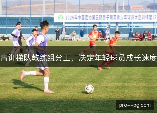 青训梯队教练组分工，决定年轻球员成长速度